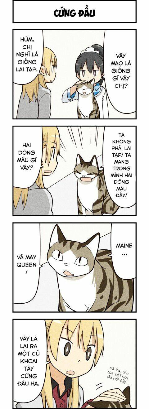 We Are Cat: Chapter 15