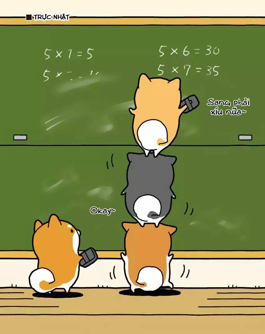 Taru Shiba: Chapter 2