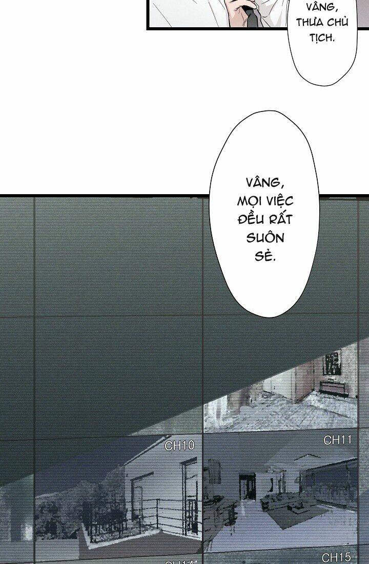 Trốn Tìm: Chapter 2