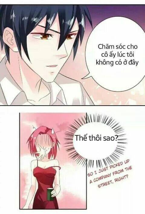 1 Nửa Hoàn Hảo Của Ceo: Chapter 29