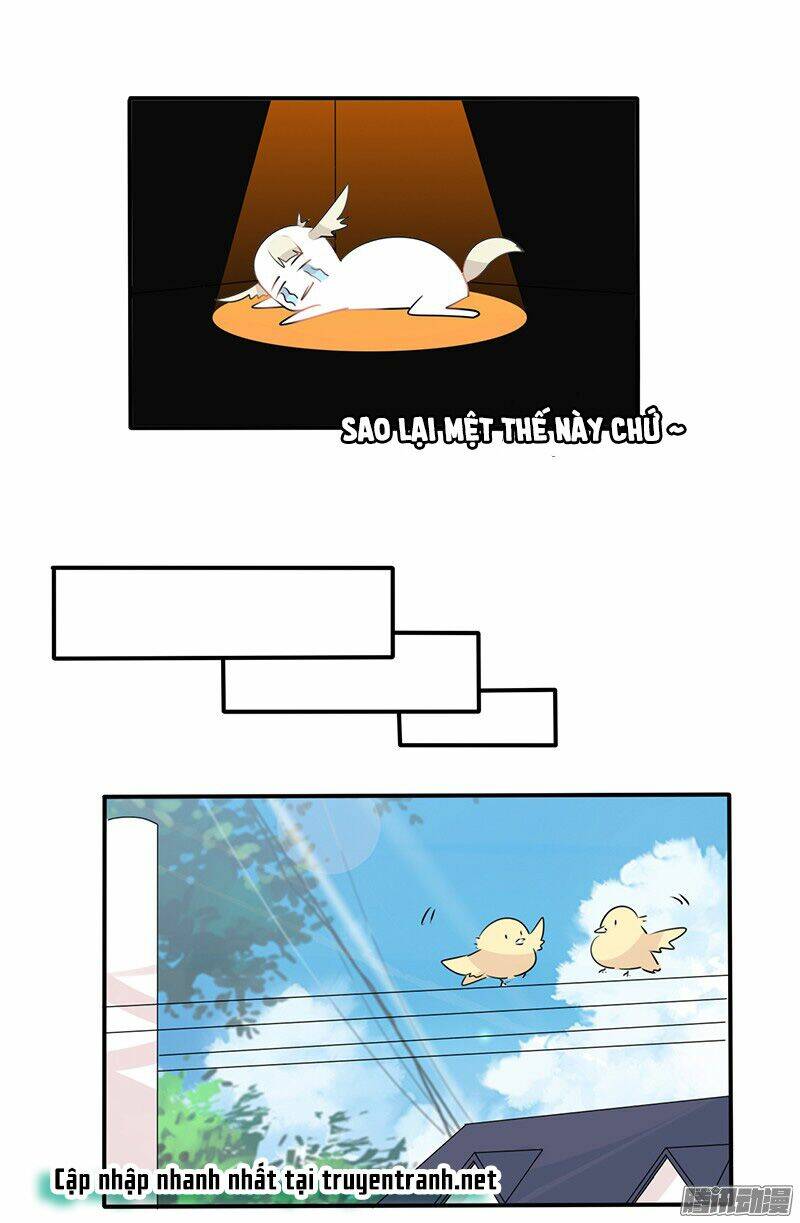 Chạm Vào Người Thương: Chapter 12