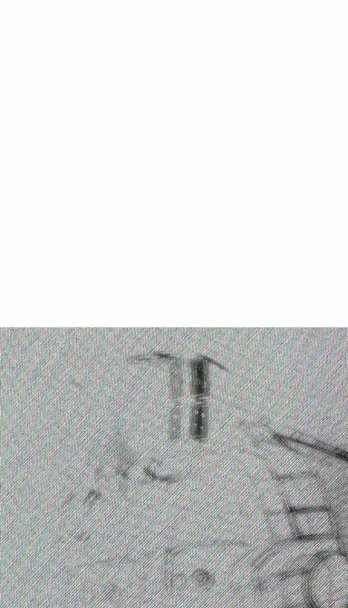 Mắc Kẹt Trên Mặt Trăng: Chapter 7