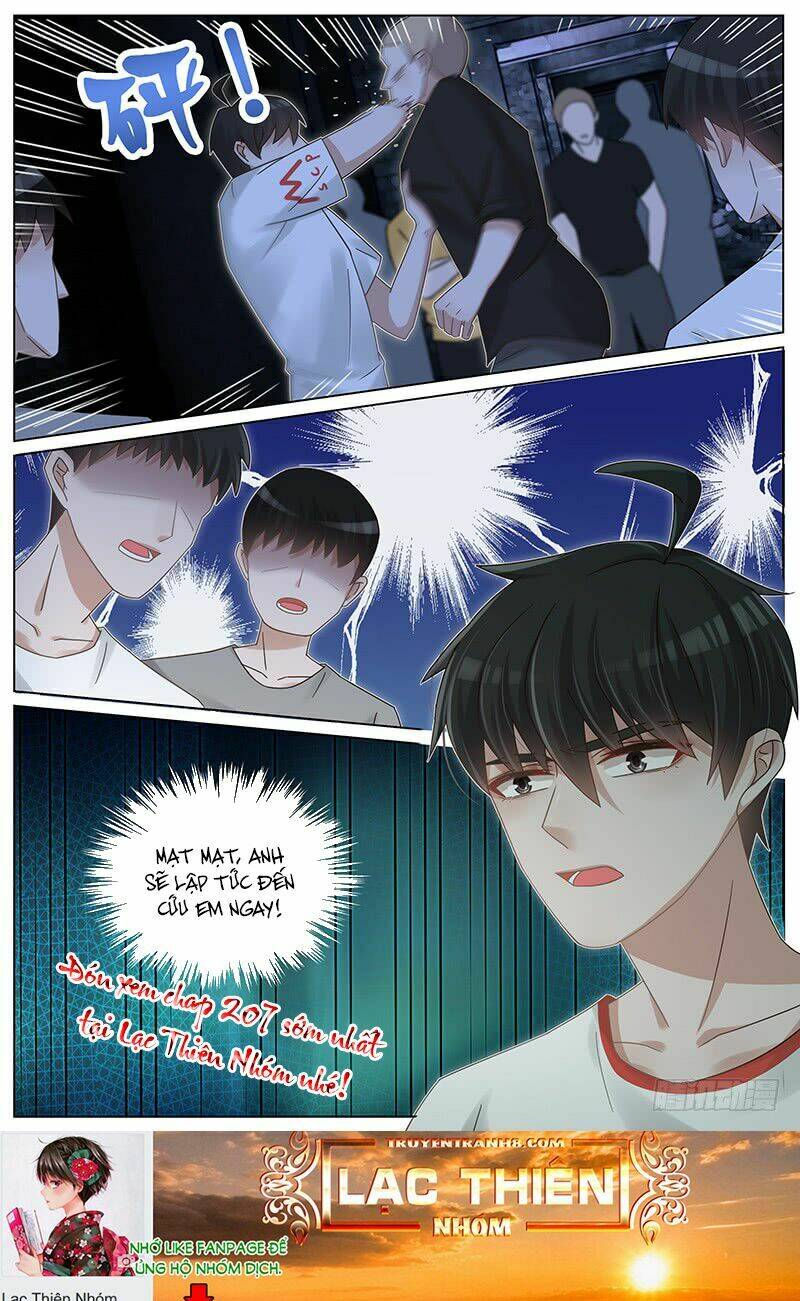 Vương Bài Giáo Thảo: Chapter 206