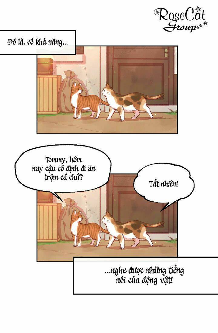 Cuộc Sống Giống Như Cô Gái Maria Lewellin: Chapter 0