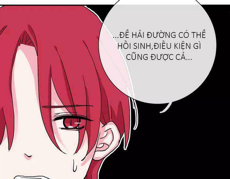 Trái Tim Băng Giá: Chapter 39