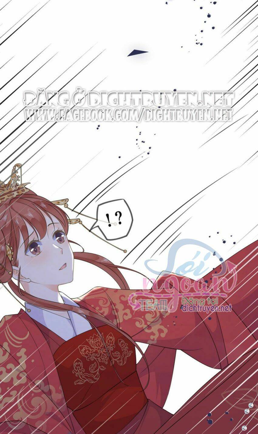 Tang Lạc Túy Tại Nam Phong Lý: Chapter 39