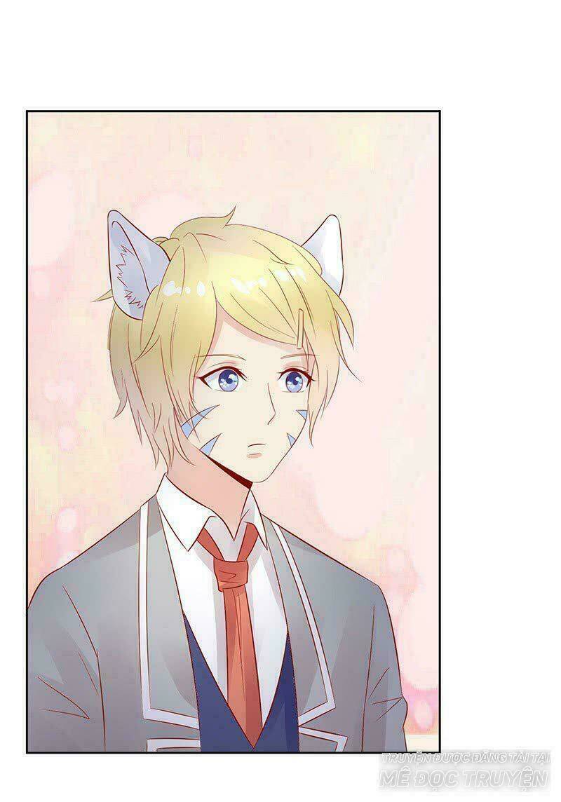 Băng Sơn Học Trưởng Không Được Chọc: Chapter 14