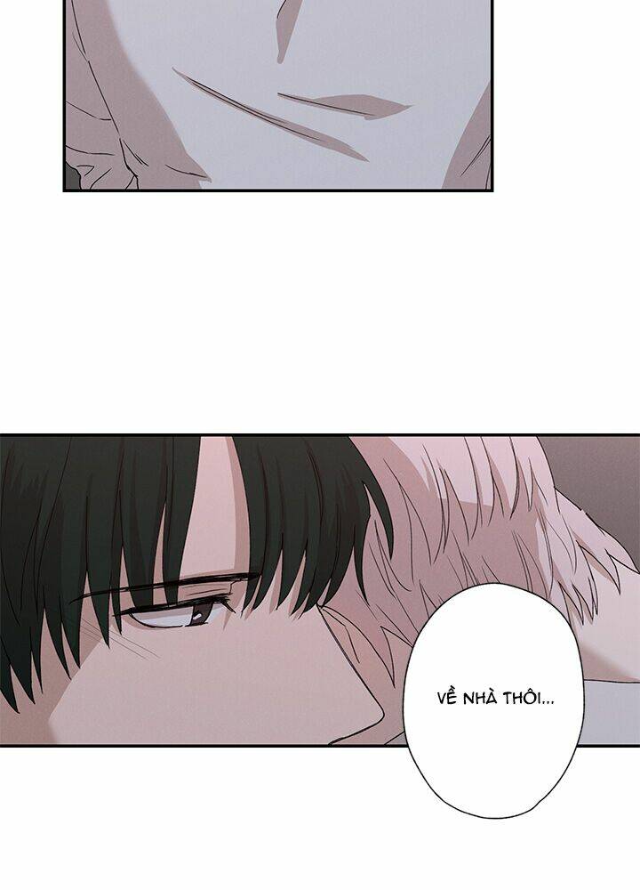 Trốn Tìm: Chapter 22