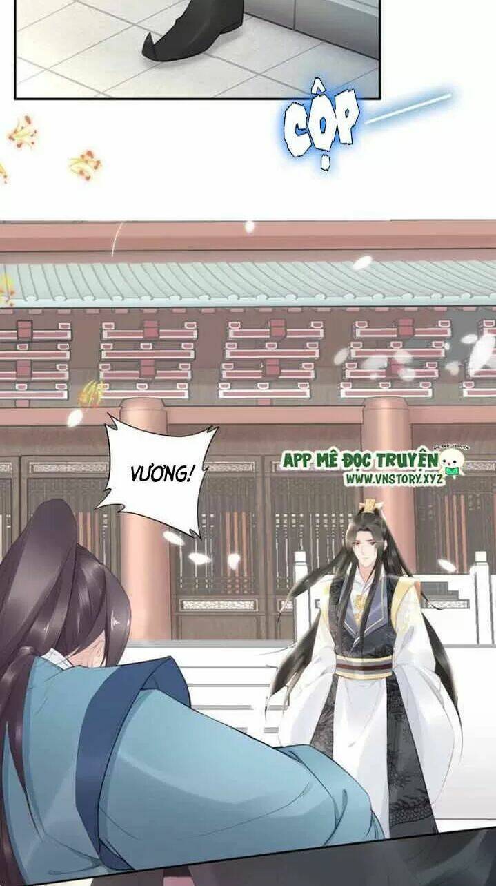 Nhất Sinh Nhất Thế Tiếu Thương Khung: Chapter 64