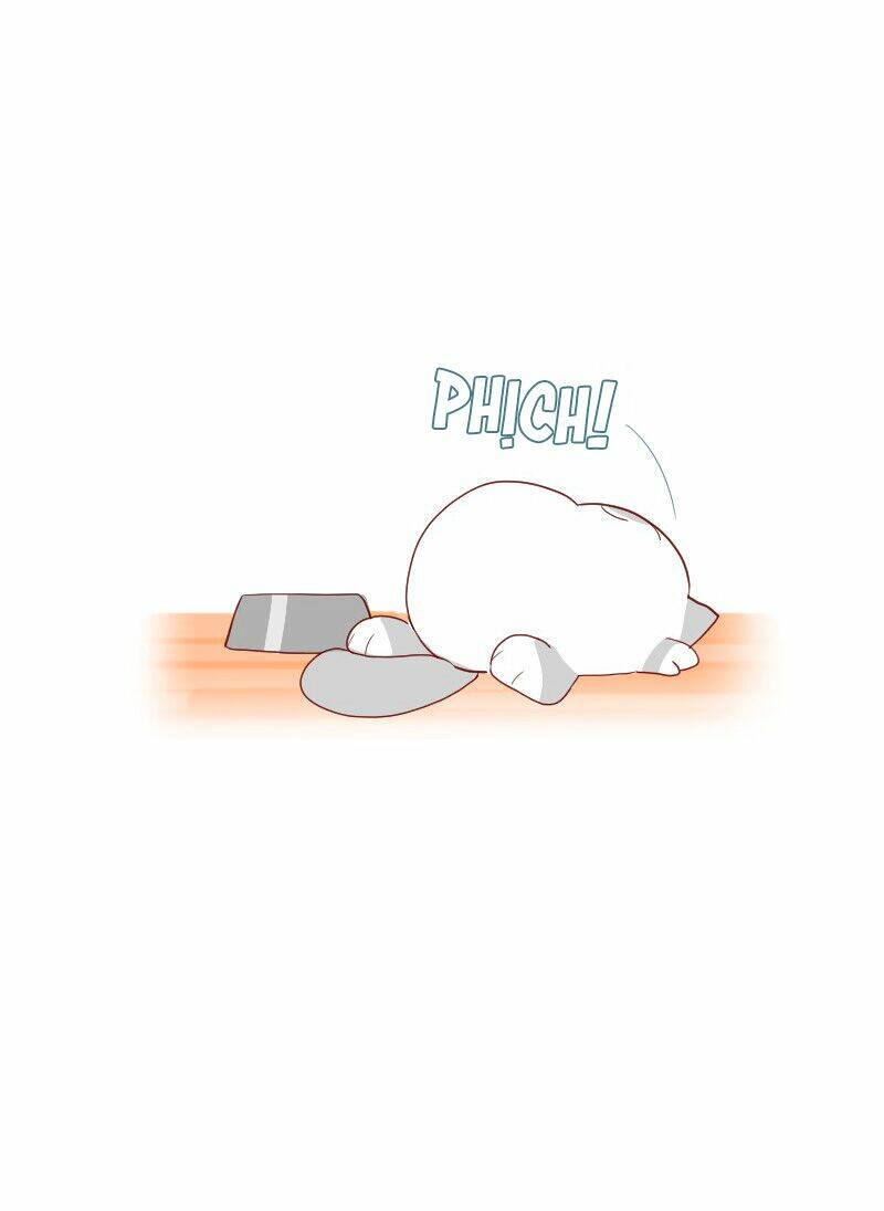 Saphie: Chú mèo một mắt: Chapter 4