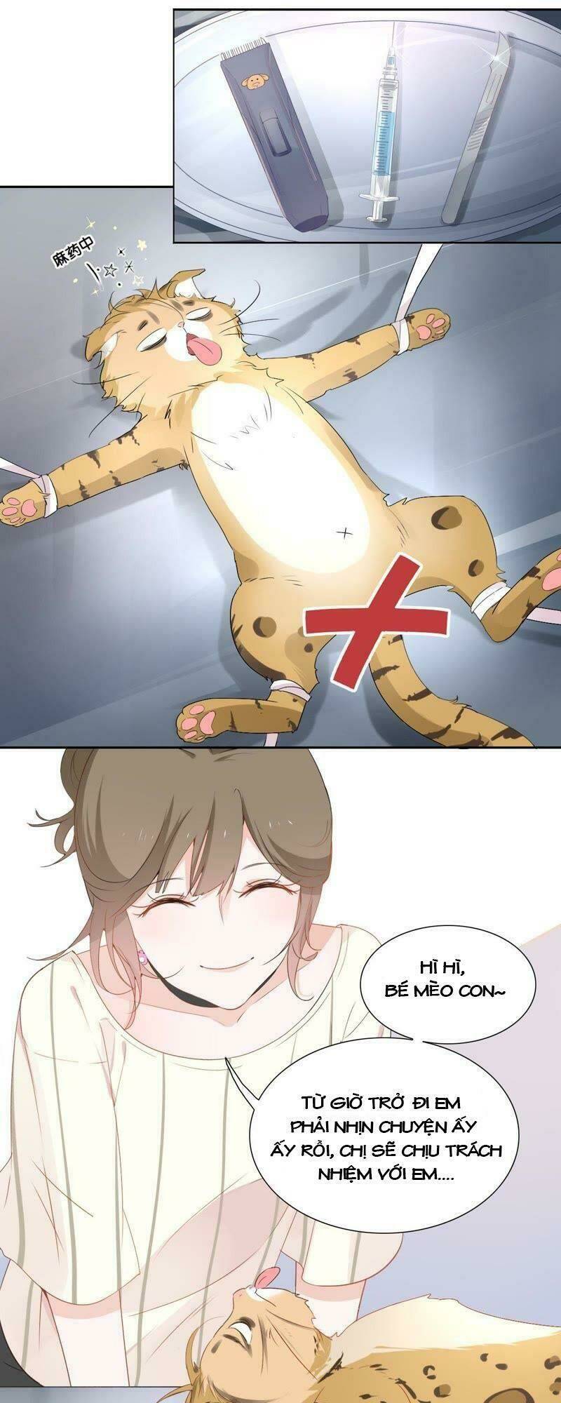 Thập Nhị Hắc Miêu: Chapter 1