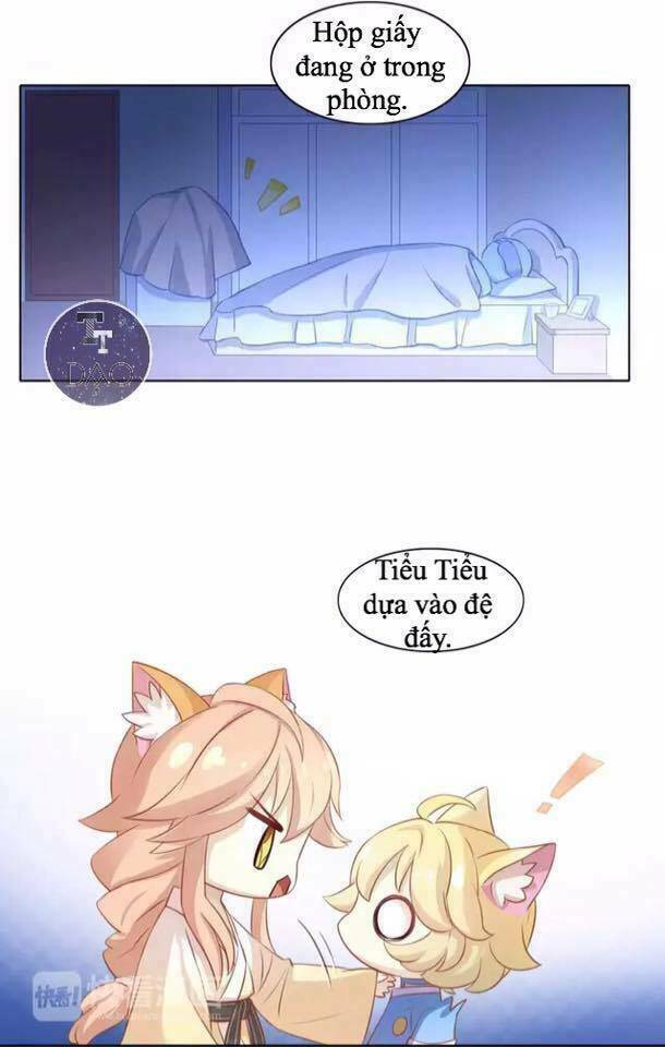 Dưới Móng Vuốt Mèo: Chapter 13