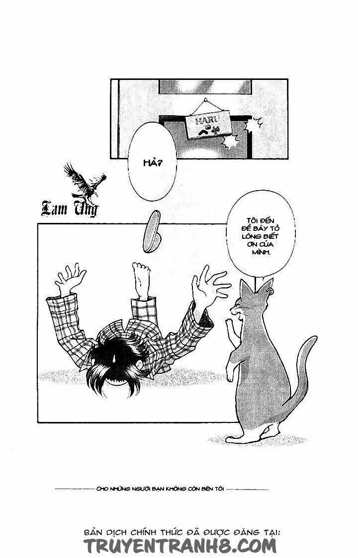 Lời Thì Thầm Từ Trái Tim: Chapter 9