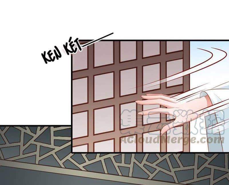 Thái Tử Điện Hạ Có Tin Vui: Chapter 62