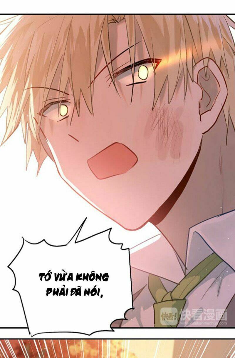 Đầu Gấu Biết Yêu: Chapter 102