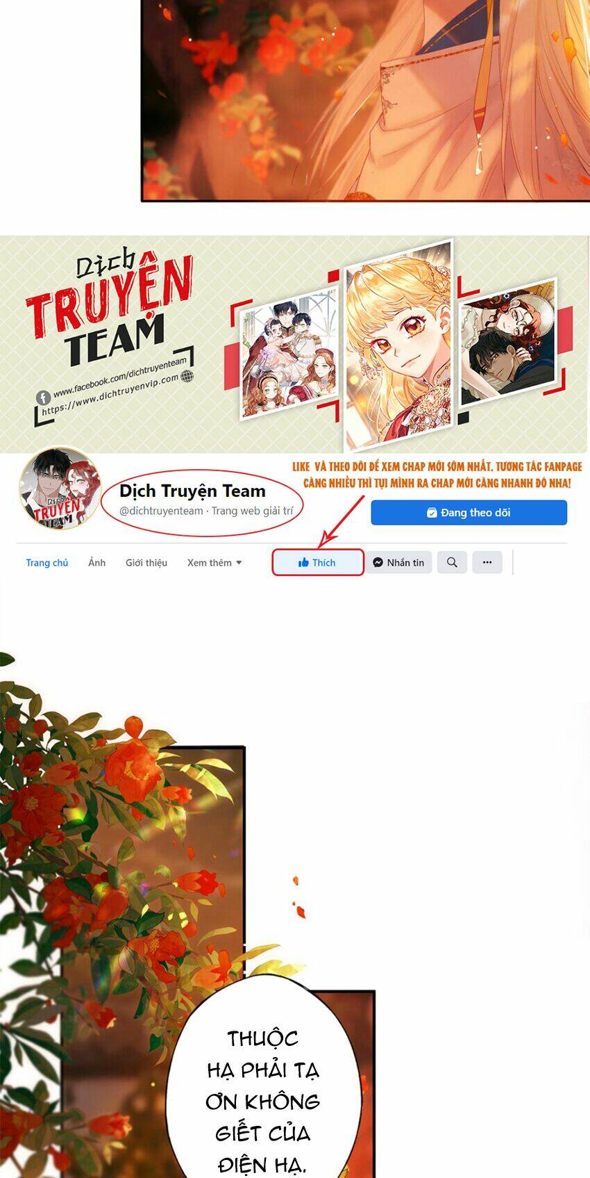 Lưu Hoa Bất Cập Xuân: Chapter 53