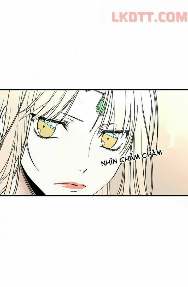 Mylord, Nữ Hoàng Của Loài Sói!: Chapter 4