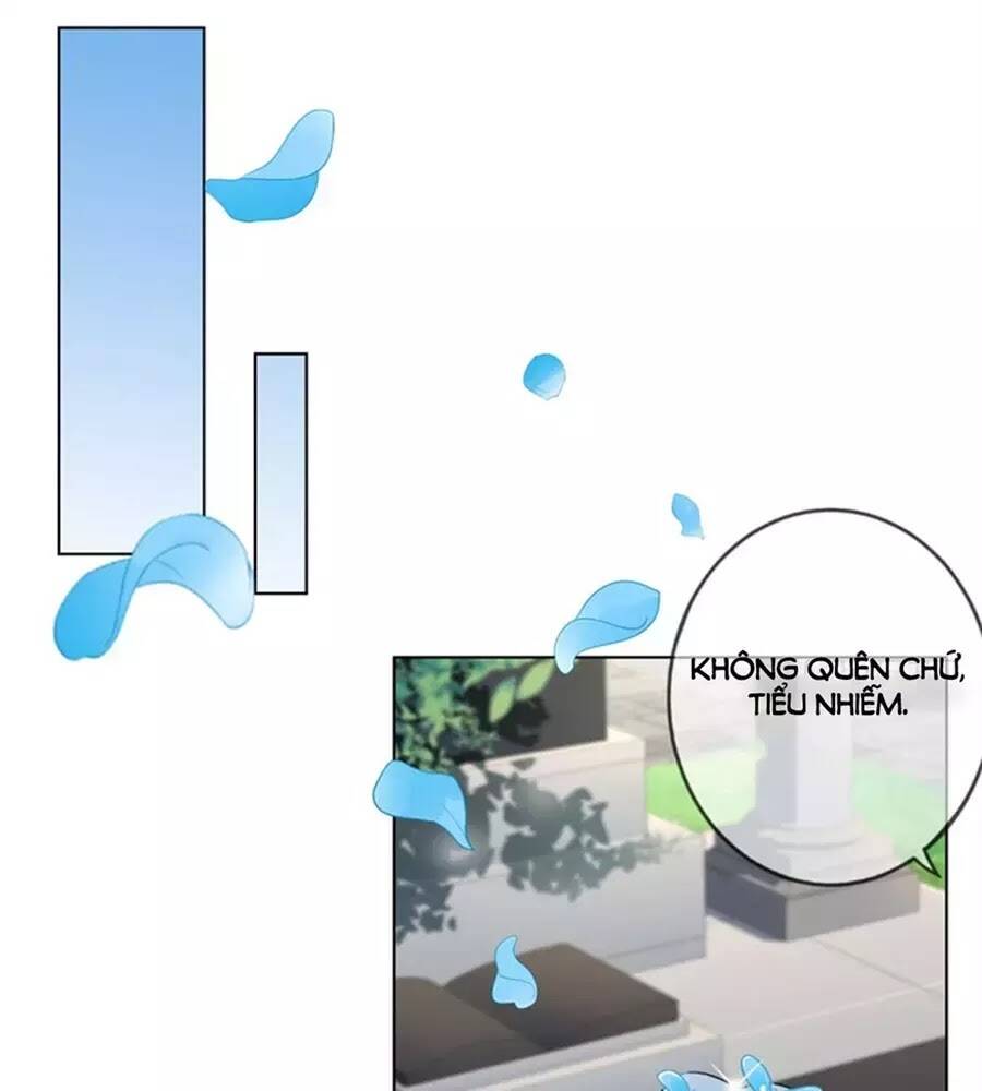 Nhật Ký Dạy Dỗ Của Gia Tộc Đáng Yêu: Chapter 71