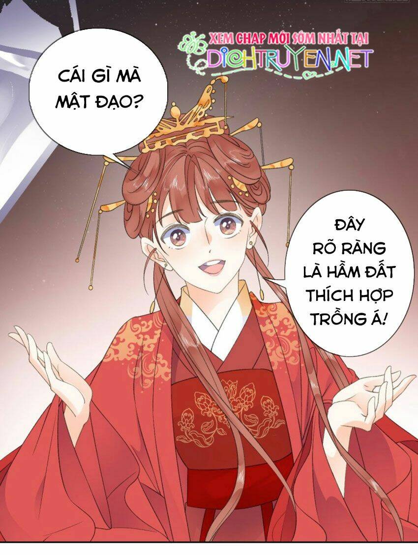 Tang Lạc Túy Tại Nam Phong Lý: Chapter 36