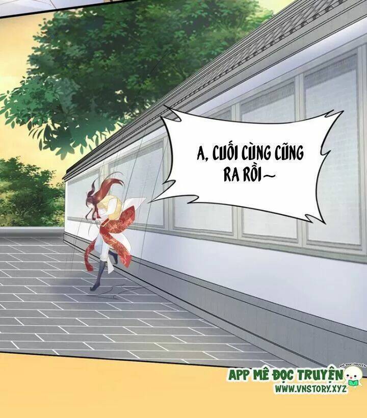 Nhất Sinh Nhất Thế Tiếu Thương Khung: Chapter 71