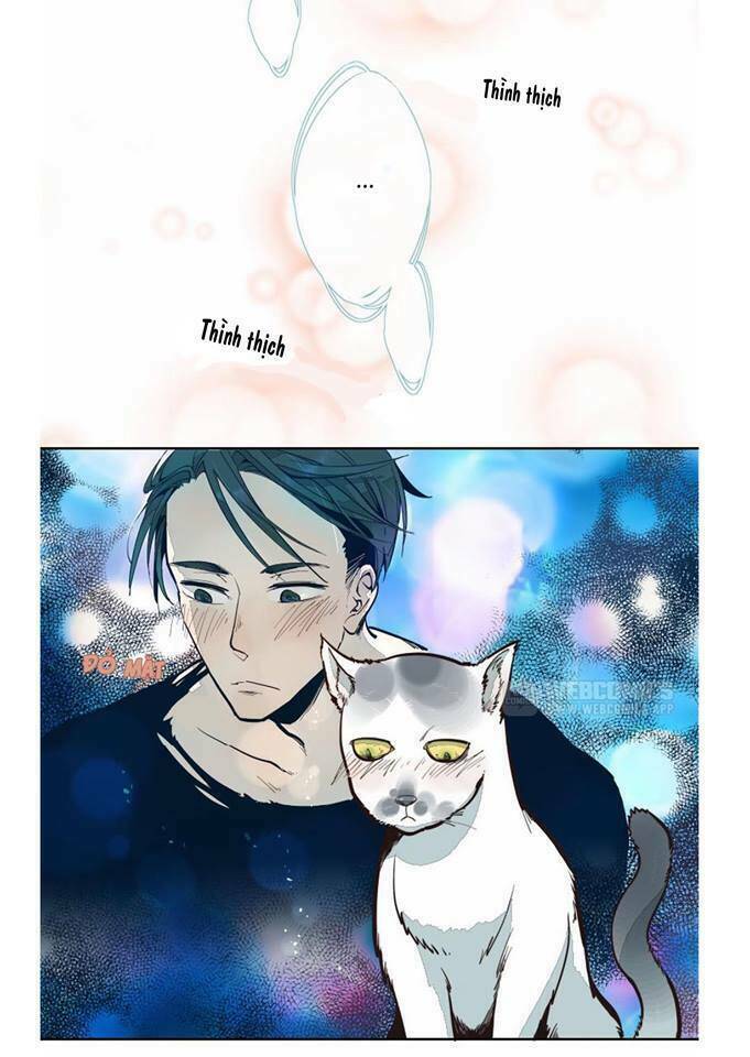 Thời Khắc Ấy, Chúng Ta Gặp Nhau: Chapter 4