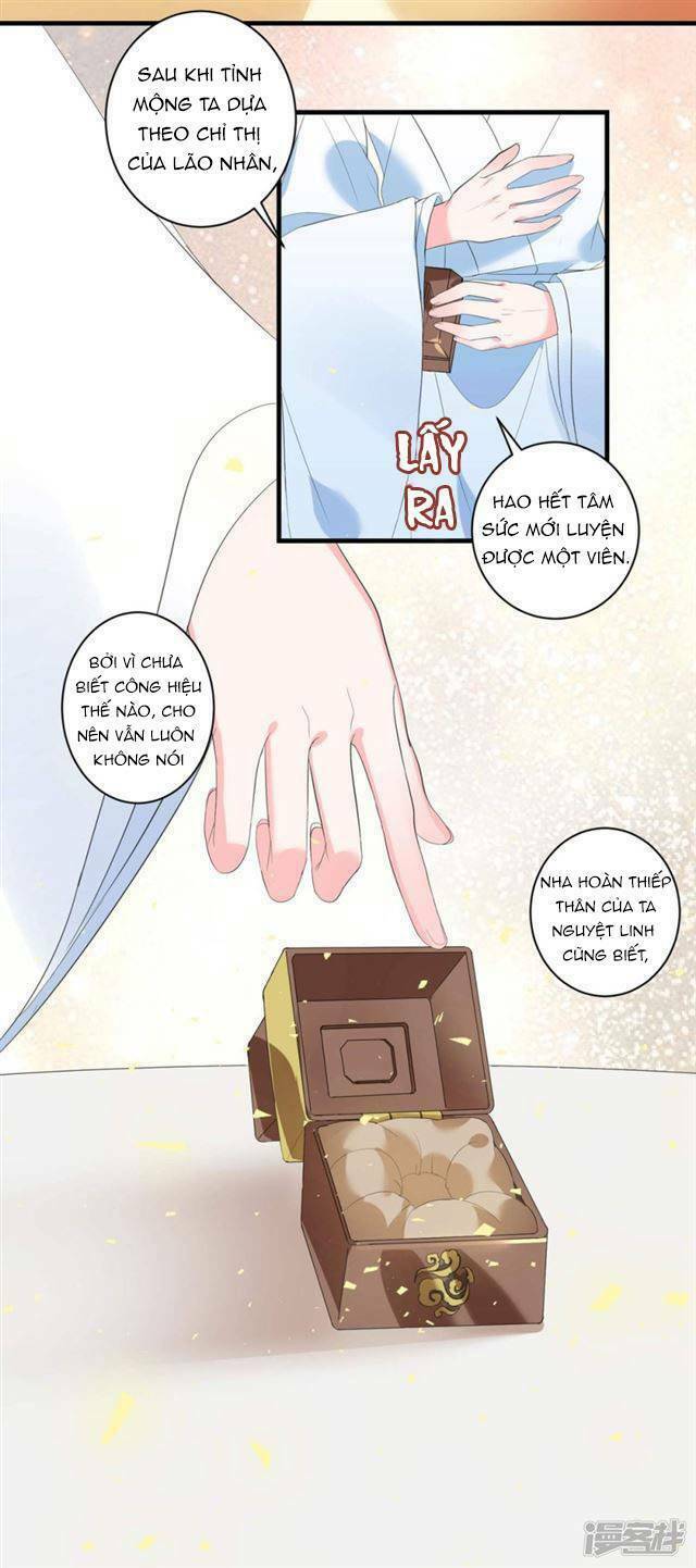 Vương Phi Có Độc!: Chapter 4