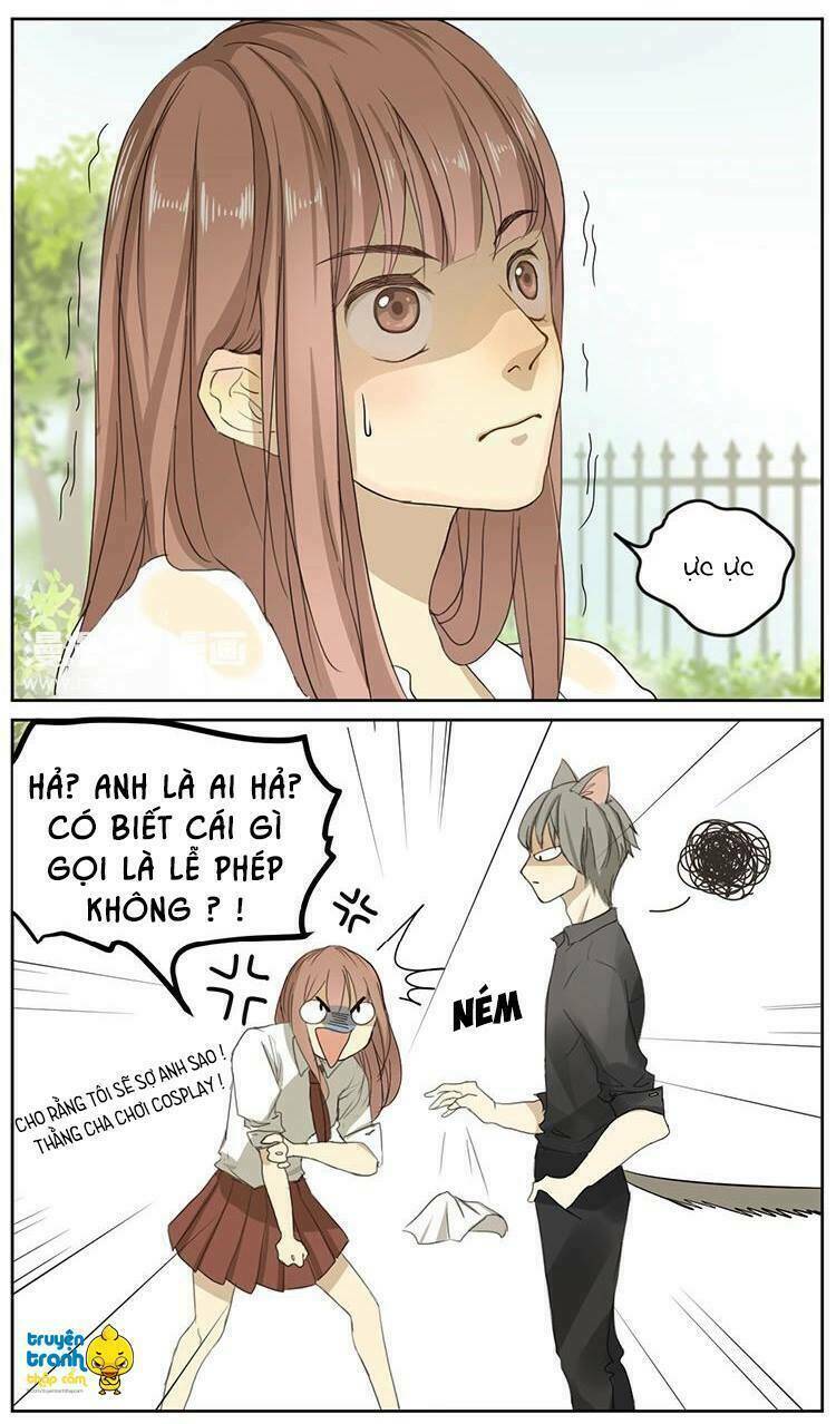 Cứu Mạng! Loài Mèo Thống Trị Thế Giới Rồi!: Chapter 2
