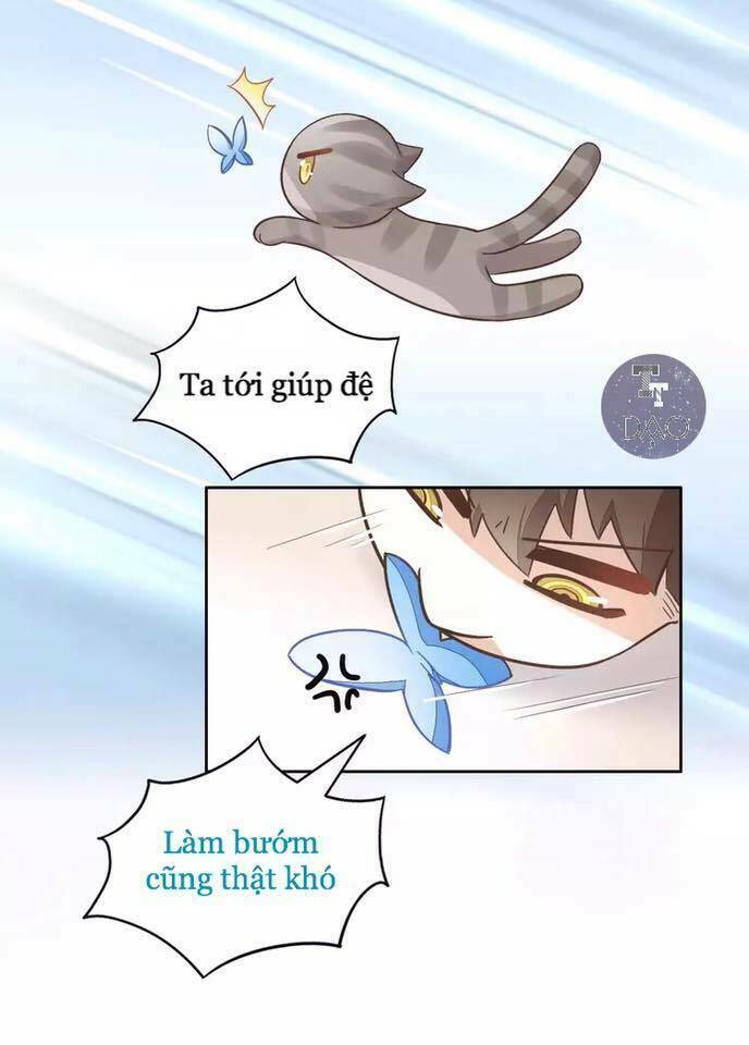 Dưới Móng Vuốt Mèo: Chapter 19
