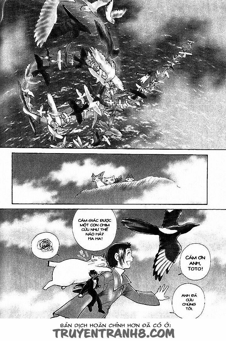 Lời Thì Thầm Từ Trái Tim: Chapter 8