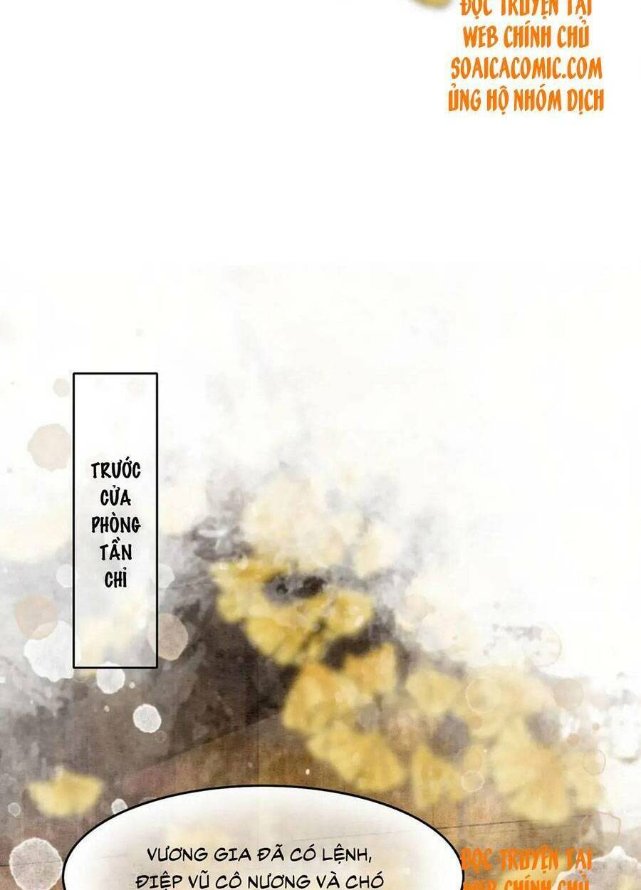 Xung Hỉ Vương Phi: Chapter 69