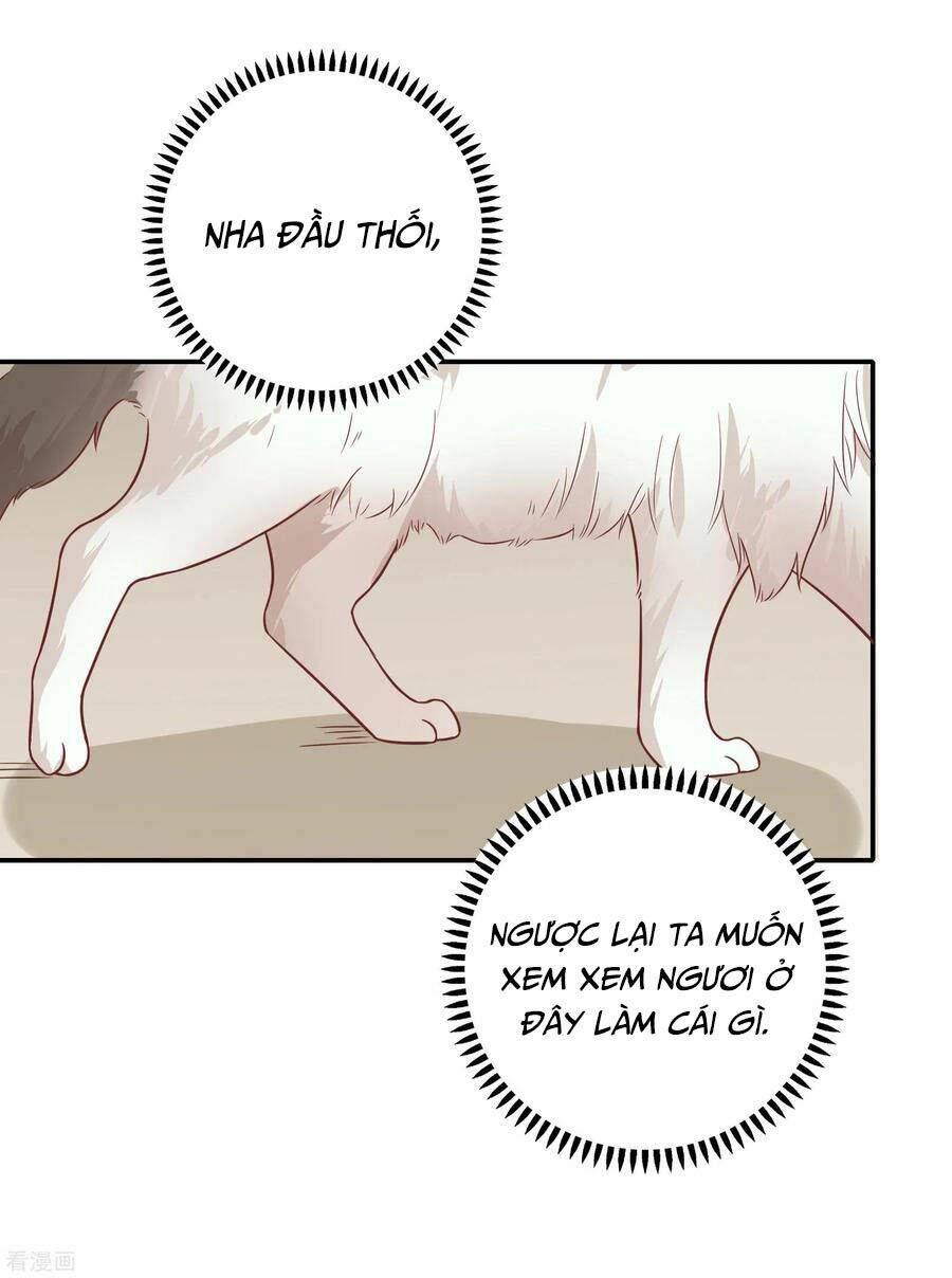 Hẹn Hò Siêu Tốc: Chapter 27