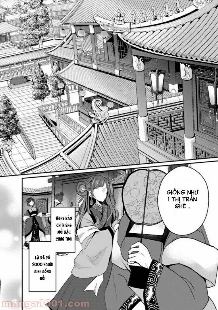 Người Quản Lí Của Hậu Cung Phi: Chapter 1