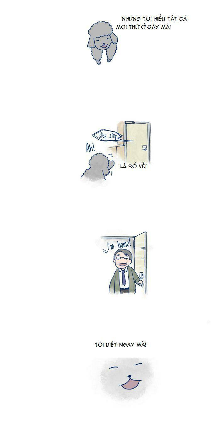 My Young Cat And My Old Dog: Chapter 3