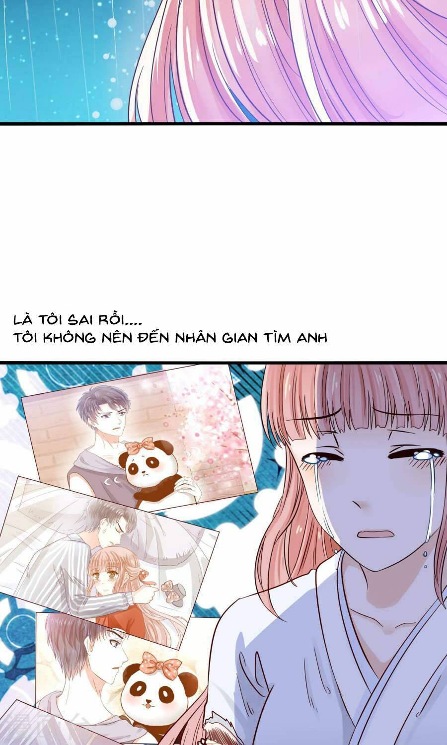 Tôi Bị Gấu Trúc Nhìn Trúng Rồi: Chapter 11