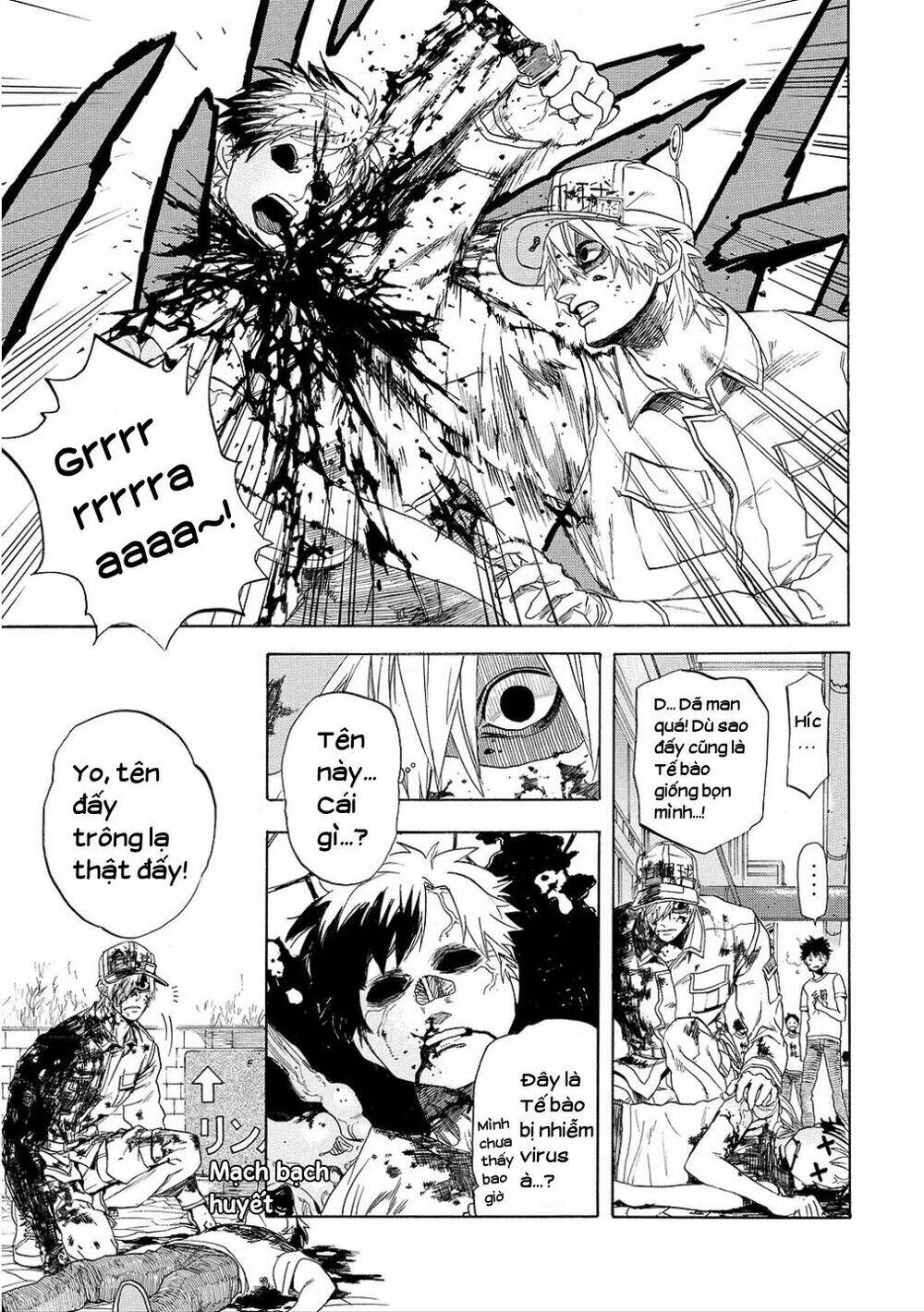 Hataraku Saibou!: Chapter 8