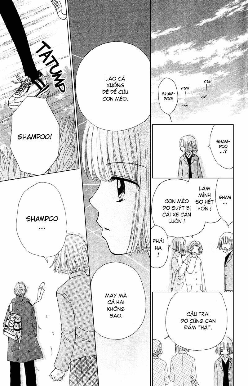 Dự Án Kéo Vàng: Chapter 11