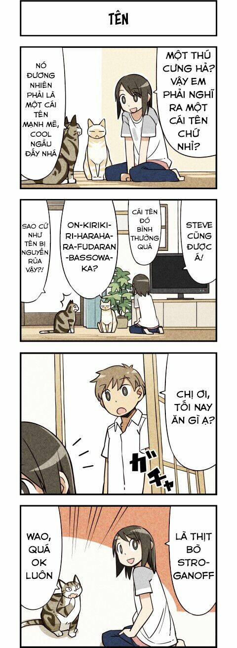 We Are Cat: Chapter 11