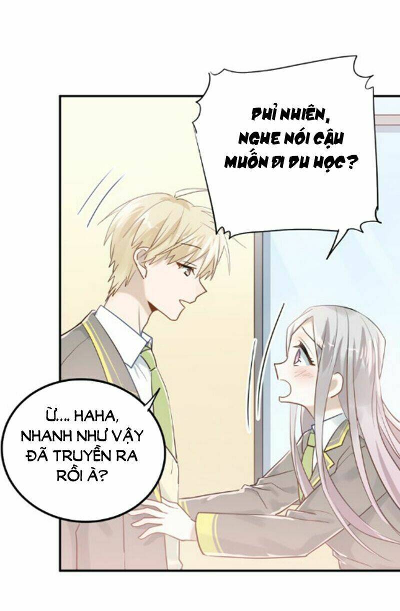 Đầu Gấu Biết Yêu: Chapter 111