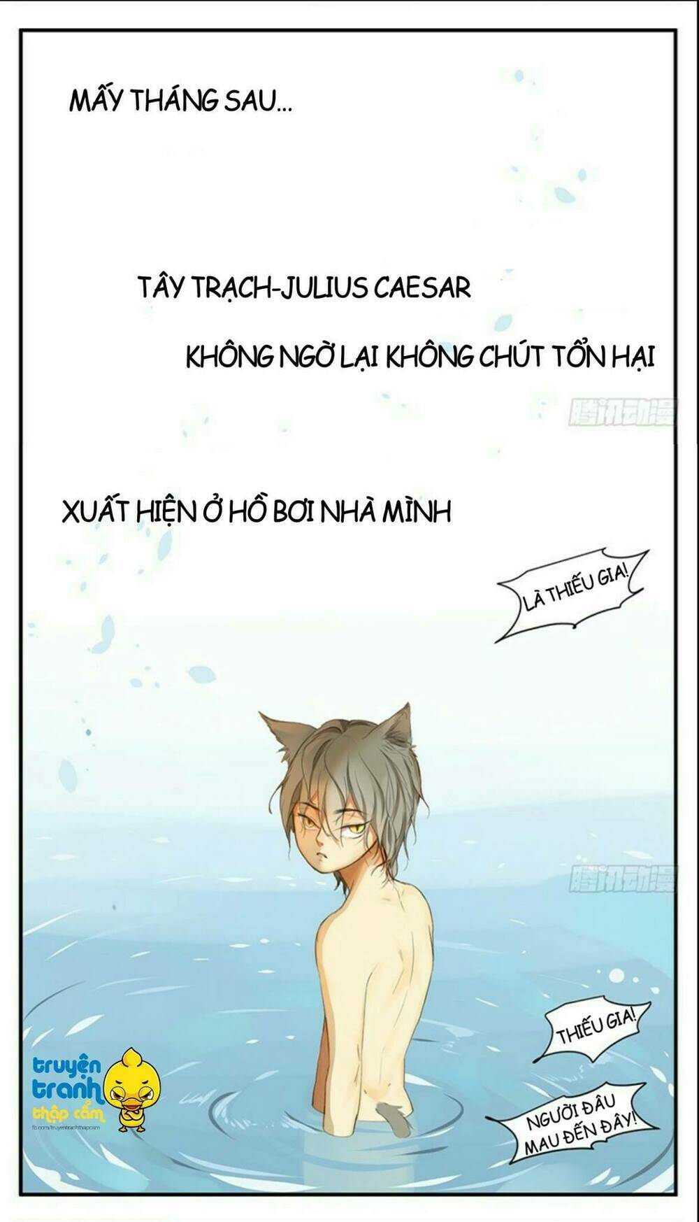 Cứu Mạng! Loài Mèo Thống Trị Thế Giới Rồi!: Chapter 34