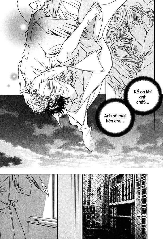 Innocent Bird: Chapter 12