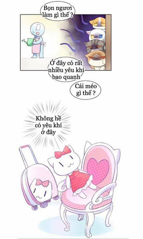 Dưới Móng Vuốt Mèo: Chapter 5