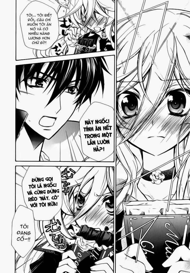 Nụ Hôn Của Công Chúa Tường Vi: Chapter 8