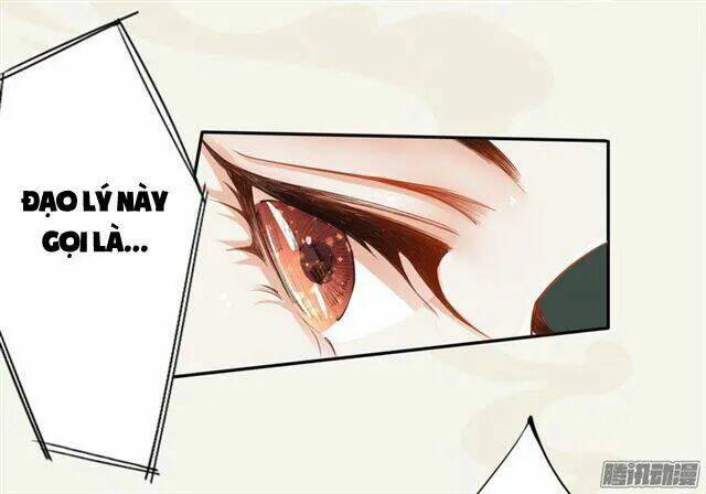 Tuyệt Thế Luyện Đan Sư: Chapter 15