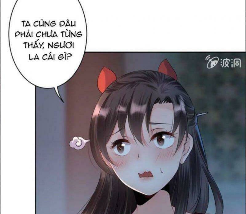 Vương Gia Kiêu Ngạo Quá Khó Cua: Chapter 5