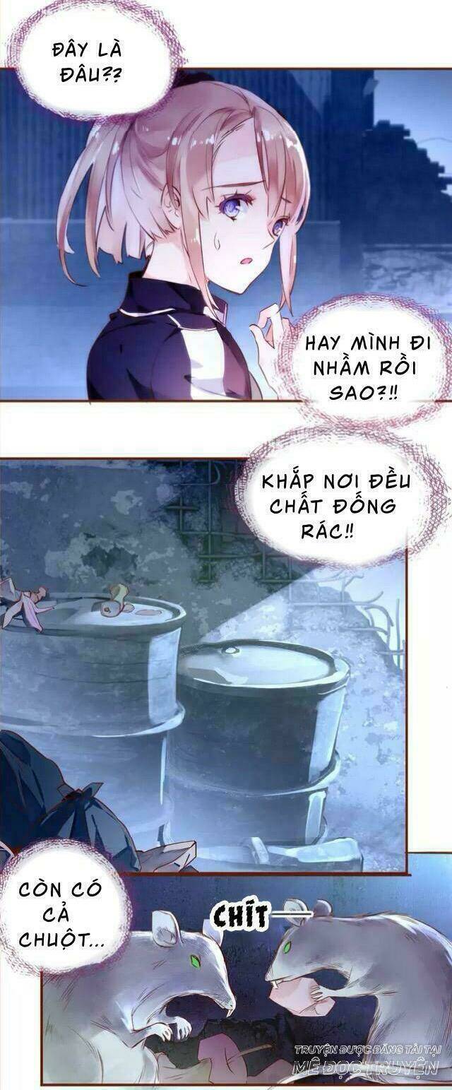 Hoa Hồng Trên Gai: Chapter 4