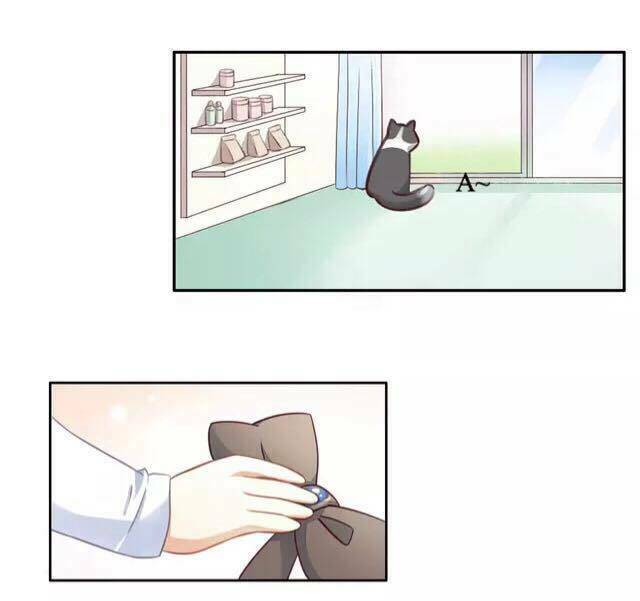 Dưới Móng Vuốt Mèo: Chapter 16