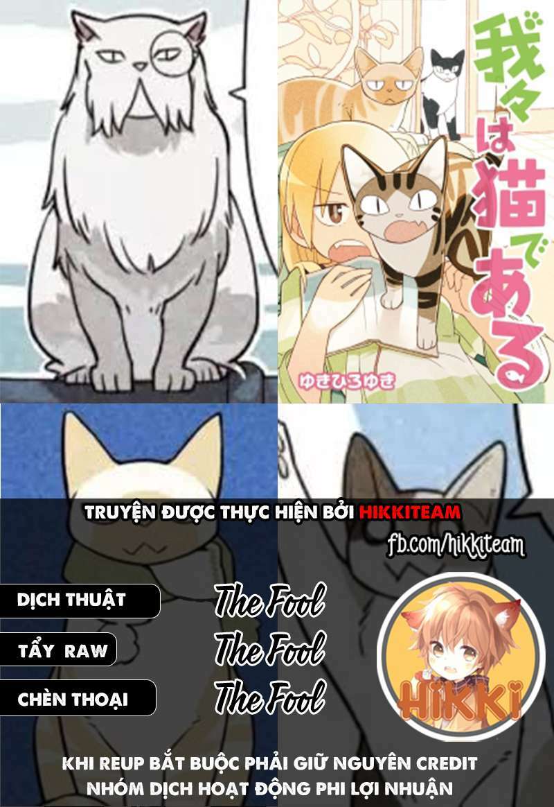 We Are Cat: Chapter 16