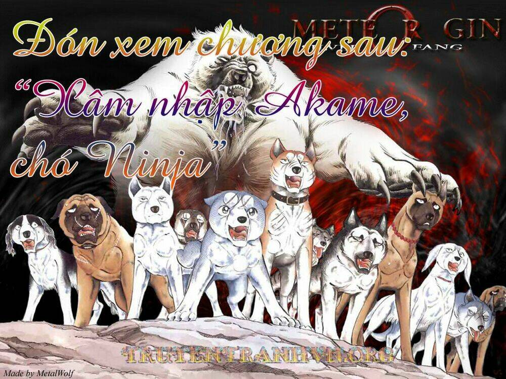 Chú Chó Có Nghĩa - Ginga Nagareboshi Gin: Chapter 17