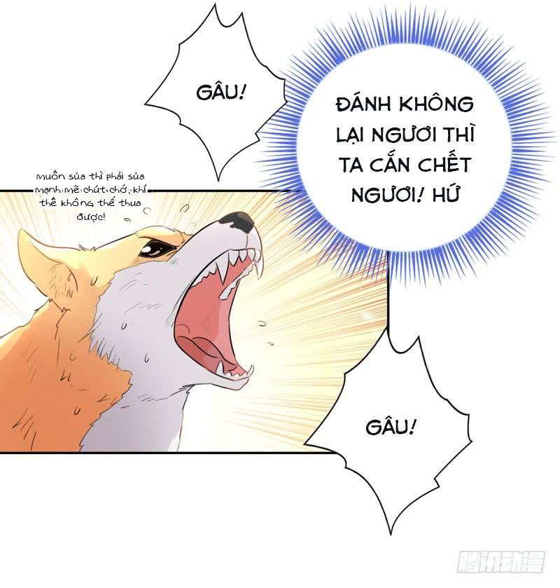 Lụ Đạn, Hôm Nay Lại Cũng Không Thể Biến Thành Người Được: Chapter 1