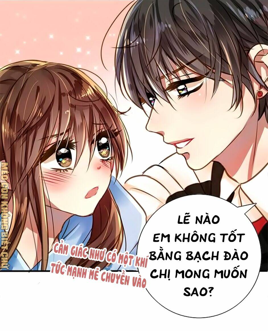Không Có Ssr Làm Sao Để Yêu: Chapter 5